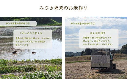 コシヒカリ 5kg～10kg 有機的栽培 |無農薬 農薬不使用 化学肥料不使用 精米 お米 米 こめ コメ みさき未来 南相馬市