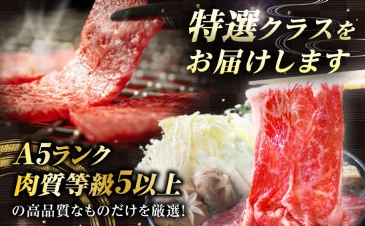近江牛ヒレ ステーキ 120g 肉 牛肉 近江牛 ヒレ ステーキ 牛肉 肉 にく お肉 和牛