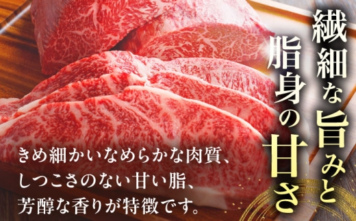 近江牛ヒレ ステーキ 120g 肉 牛肉 近江牛 ヒレ ステーキ 牛肉 肉 にく お肉 和牛