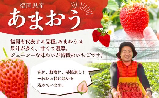 【4回定期便】よかもんいちご あまおう苺セット2パック