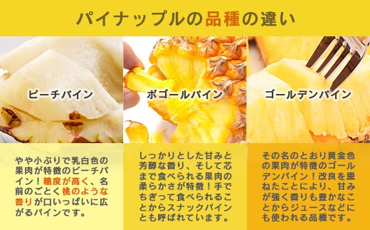 沖縄県石垣市のふるさと納税 【予約受付】【定期便】石垣島産 パイナップル 3回 定期 3種 計6玉【2026年 5月頃・6月・7月頃お届け】  ふるさと納税 パイナップル パイン フルーツ 果物 果実 定期便 定期 3回 3か月 沖縄県 石垣市 石垣島 産地直送 ふるさと 人気 送料無料 KP-18