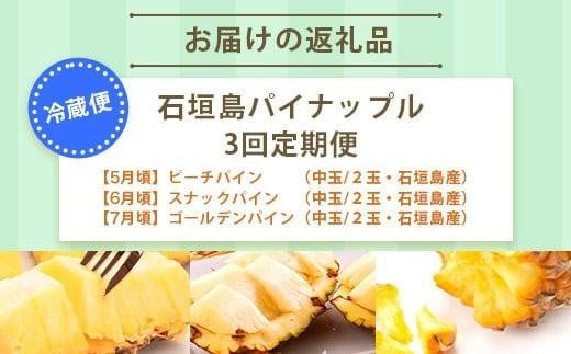 沖縄県石垣市のふるさと納税 【予約受付】【定期便】石垣島産 パイナップル 3回 定期 3種 計6玉【2026年 5月頃・6月・7月頃お届け】  ふるさと納税 パイナップル パイン フルーツ 果物 果実 定期便 定期 3回 3か月 沖縄県 石垣市 石垣島 産地直送 ふるさと 人気 送料無料 KP-18