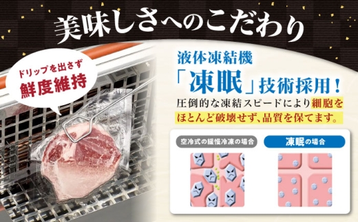 近江牛ヒレ ステーキ 120g 肉 牛肉 近江牛 ヒレ ステーキ 牛肉 肉 にく お肉 和牛