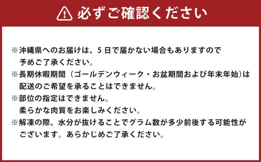 山形県 白鷹産 馬刺しブロック(生食用) 約4～5人前 (約500g) 