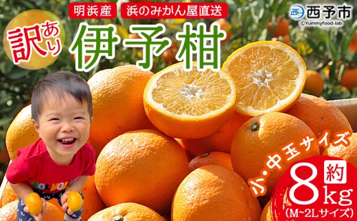 ＜訳あり 伊予柑 約8kg 浜のみかん屋 直送＞ 小 中玉 M～2L ワケアリ イヨカン いよかん 家庭用 果物 フルーツ おいしい 甘い 柑橘類 明浜産 ご自宅用 特産品 愛媛県 西予市【常温】『2026年1月中旬～2月上旬迄に順次出荷予定』 292432 - 愛媛県西予市
