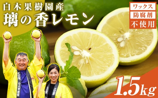 レモン 約1.5kg 4～7個 璃の香レモン 果物 くだもの 柑橘 フルーツ れもん お取り寄せ 産地直送 おいしい 美味しい 白木果樹園 常温 配送 高知県 高知 土佐市