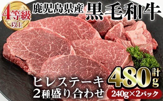 鹿児島県産黒毛和牛(4～5等級)ヒレステーキ2種盛り(合計480g・240g×2パック)牛肉 ヒレ肉 赤身【カミチク】A231-v01