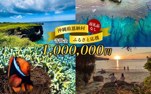 【返礼品なし】沖縄県恩納村ふるさと応援寄附金 1000000円  2314791 - 沖縄県恩納村
