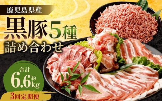 FS-309 【3ヶ月定期便】鹿児島県産黒豚 5種詰合せ(約2.2kg×3回) 1409984 - 鹿児島県薩摩川内市