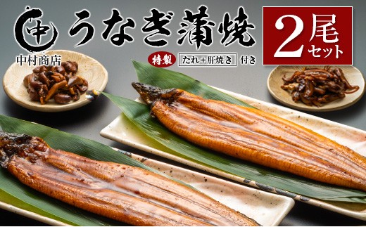 ◆中村商店 うなぎ蒲焼2尾セット 計362g以上 肝焼き付 804105 - 宮崎県宮崎県庁