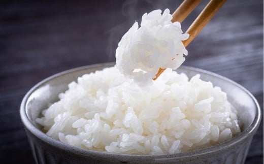 令和7年度産 新米 コシヒカリ 5kg 米 2314650 - 香川県さぬき市