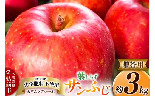 【25年11月～発送】りんご 葉とらず サンふじ 約3kg カワムラファーム 贈答用【先行受付】 青森 果物 フルーツ 林檎 リンゴ くだもの 予約 2006259 - 青森県弘前市