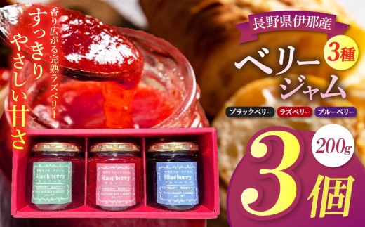 ジャム ベリー 信州 伊那産 ベリージャム 200g 3種 （ ラズベリー ・ ブラックベリー ・ ブルーベリー ）| フルーツ ジャム ラズベリー ブラックベリー ブルーベリー 完熟 つみたて 加工品 長野県 伊那市【011-89】 2071460 - 長野県伊那市
