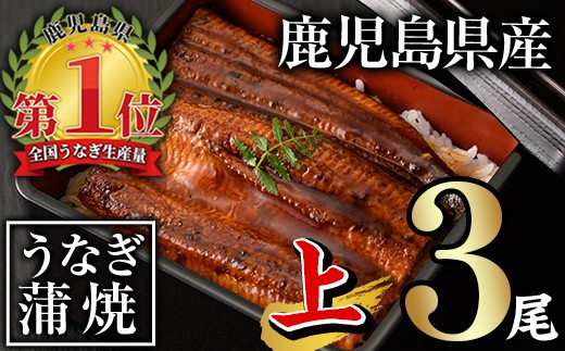 無投薬！鹿児島県産うなぎ蒲焼セット＜上＞(合計420g以上・ 140g以上×3尾) タレ・山椒付き 鰻 ウナギ 国産【西日本養鰻】A505-v01 1389188 - 鹿児島県曽於市