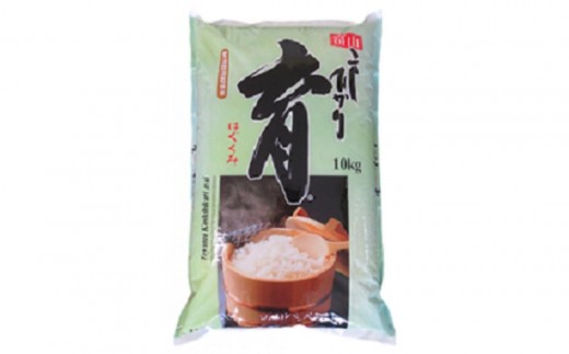 【令和7年産】定期便・隔月６回  富山県産こしひかり 育（はぐくみ）白米１０kg×２袋《南砺の逸品》 2312664 - 富山県南砺市