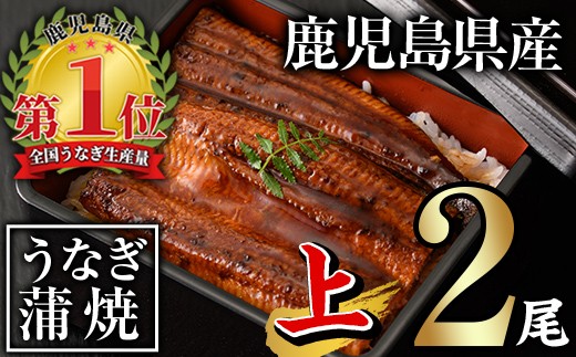 無投薬！鹿児島県産うなぎ蒲焼セット＜上＞(合計280g以上・ 140g以上×2尾) タレ・山椒付き  鰻 うなぎ 蒲焼 【西日本養鰻】A60-v01 393137 - 鹿児島県曽於市
