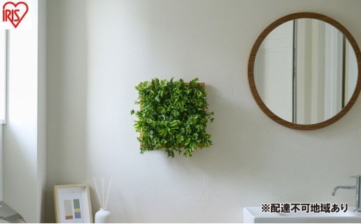 ＤＥＣＯ ＧＲＥＥＮ ウォールパネル WG-50M ナチュラルミックス 3個セット フェイクグリーン 壁掛け  アイリスオーヤマ ウォールグリーン 25×25cm 正方形 インテリア おしゃれ 壁面緑化パネル 人工観葉植物 2315266 - 宮城県大河原町