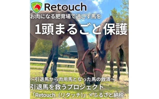 引退馬を救い馬に会える～「Retouch（リタッチ）」支援～ふるさと納税限定　１頭まるごと保護