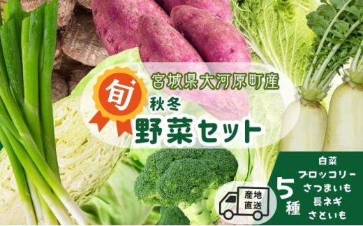 季節の野菜 野菜セットD 5種 白菜 ブロッコリー さつまいも 長ねぎ さといも 詰合せ 季節 旬 野菜 詰め合せ 国産 産地直送 秋野菜 冬野菜 葉物 冷蔵 野菜室 2315512 - 宮城県大河原町