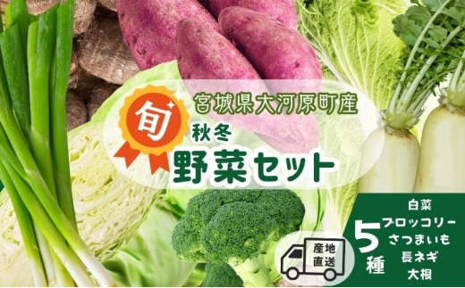 季節の野菜 野菜セットA 5種 白菜 ブロッコリー さつまいも 長ねぎ 大根 詰合せ 季節 旬 野菜 詰め合せ 国産 産地直送 秋野菜 冬野菜 葉物 冷蔵 野菜室 2315509 - 宮城県大河原町