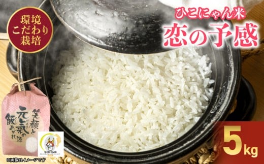 令和7年産 先行予約 環境こだわり栽培 恋の予感 5kg ひこにゃん米 精米 米 お米 こめ ご飯 ごはん 白米 こいのよかん 鹿谷ファーム 滋賀 彦根