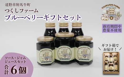 ブルーベリー ジュース ジャム ソース 合計 6個 セット つくしファーム  / 遠野産 ブルーベリー 無農薬 ギフト 贈答 お中元 お歳暮 1555282 - 岩手県遠野市