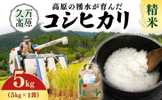 【R7年産】愛媛県 久万高原町 コシヒカリ5kg 精米 ｜ お米 コメ こめ 令和7年産 5kg ご飯 ごはん 朝食 昼食 家庭用 ※北海道・沖縄・離島への配送不可 2297124 - 愛媛県久万高原町