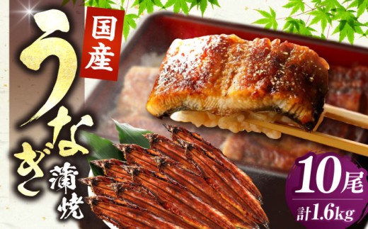 福岡県産 うなぎ 蒲焼 大 10尾　計1,600g（1尾あたり 160g以上）《豊前市》【福岡養鰻】 国産 鰻 ウナギ 蒲焼き [VAD026] 1325710 - 福岡県豊前市