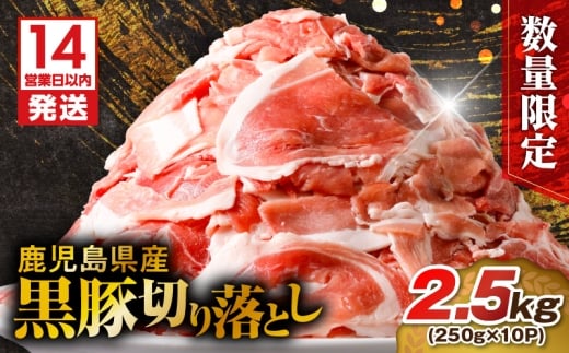 【14営業日以内に発送】 【数量限定】鹿児島県産 黒豚切り落とし 2.5kg　K025-001_05 1432341 - 鹿児島県鹿児島市