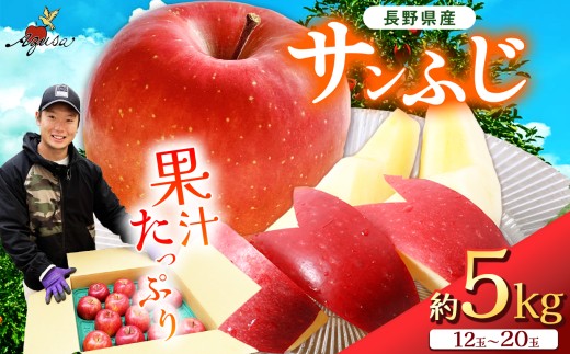 サンふじ 5kg(12〜20玉)|ふるさと納税 松本市 家庭用 サンふじ りんご 林檎 果物 フルーツ 信州 美味しい