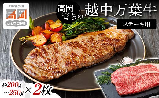 高岡育ちの越中万葉牛 ステーキ用200g～250g×2枚 サーロイン 肉 牛肉 ステーキ 国産 富山  FAD-0076 854348 - 富山県高岡市