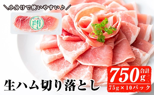 ＜2025年11月中に発送予定＞国産豚生ハム切り落とし75g×10P(計750g) 生ハム おつまみ 小分け 【ナンチク】A302-11-v01 2002963 - 鹿児島県曽於市