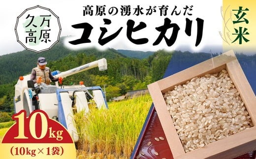 【R7年産】愛媛県 久万高原町 コシヒカリ10kg 玄米 ｜ お米 コメ こめ 令和7年産 10kg ご飯 ごはん 朝食 昼食 家庭用 栄養 玄米 ※北海道・沖縄・離島への配送不可 2297134 - 愛媛県久万高原町