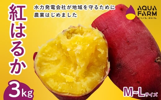 さつまいも 「べにはるか」 M～Lサイズ 3kg | 甘い 焼き芋 お取り寄せ 紅はるか スイーツ おやつ 秋の味覚 ギフト 糖度 自然の恵み やきいも 国産 子ども 産地直送 茨城県 常陸太田市