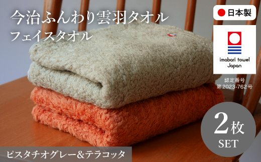 今治ふんわり雲羽タオル フェイスタオルセット(テラコッタ&ピスタチオグレー・各1枚) 【m100-14-C】【トクダ】 2298506 - 大阪府箕面市