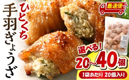 [内容量・発送時期が選べる]ひとくち 手羽 ぎょうざ 20個(1パック)or40個(2パック) | 餃子 ぎょうざ 手羽 肉 お肉 手羽先 手羽先餃子 手羽先ぎょうざ 宮崎餃子 ご当地 グルメ ご当地グルメ おつまみ おかず 中華料理 焼き餃子 揚げ餃子 鶏肉 豚肉 牛肉 一口 ひとくち 一口サイズ 冷凍 宮崎 宮崎市 |