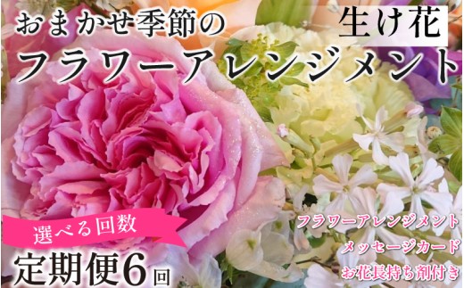 季節の 花束 フラワーアレンジメント 定期便 6回 オリジナル手作りカード付 生花 こだわりギフト プレゼント 母の日 父の日 敬老の日 花束 フラワーガーデンミモザ ※北海道・沖縄・東北の一部・離島への配送不可 2309165 - 徳島県小松島市