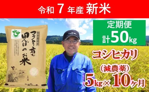 令和7年産 新米 定期便 特別栽培米コシヒカリ 5kg×10か月 [ 令和7年産 減農薬 特別栽培米 定期便 コシヒカリ コウノトリ 安心 安全 高リピート 人気 村上ファーム ]