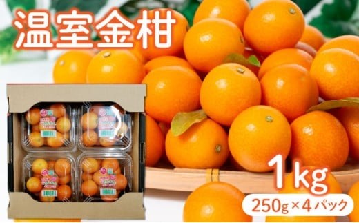 KU434 【先行予約】温室金柑1kg（250g×4パック） 508157 - 宮崎県串間市
