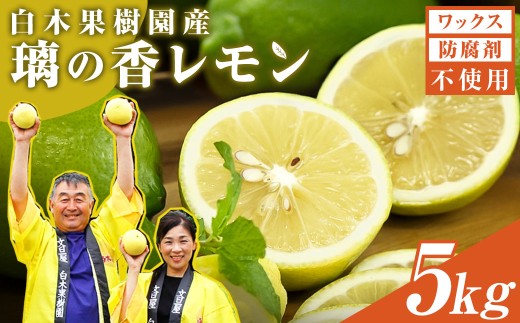 レモン 約5kg 12～25個 璃の香レモン 果物 くだもの 柑橘 フルーツ れもん お取り寄せ 産地直送 おいしい 美味しい 白木果樹園 常温 配送 高知県 高知 土佐市