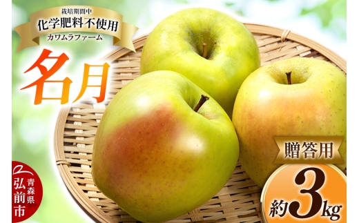 【25年11月～発送】りんご 名月 約3kg カワムラファーム 贈答用【先行受付】 青森 果物 フルーツ 林檎 リンゴ くだもの 予約