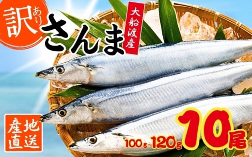 訳あり 鮮さんま 10本 (1本あたり100～120g) 秋刀魚 大船渡 生さんま さんま 鮮魚 大船渡 岩手  2266423 - 岩手県大船渡市