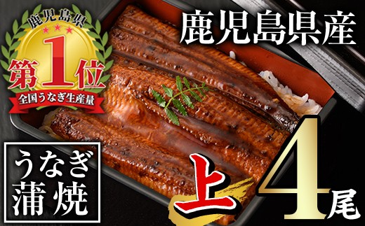 無投薬！鹿児島県産うなぎ蒲焼セット＜上＞(計560g以上・ 140g以上×4尾) タレ・山椒付き 鰻 ウナギ 国産【西日本養鰻】B144-v01