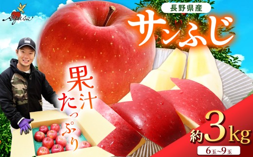 サンふじ 3kg(6〜9玉)|ふるさと納税 松本市 サンふじ 果物 フルーツ 信州 美味しい 特選
