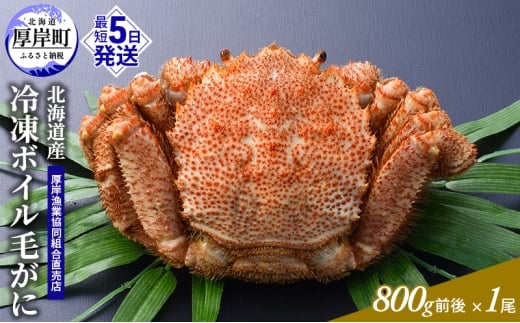 訳あり 3D冷凍 北海道産冷凍ボイル毛がに 800g前後×1尾 [ 毛カニ 蟹 毛ガニ カニ かに ]  [№5863-1389]