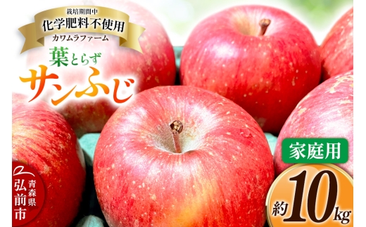 【25年11月～発送】りんご 葉とらず サンふじ 約10kg カワムラファーム 家庭用【先行受付】 青森 果物 フルーツ 林檎 リンゴ くだもの 予約