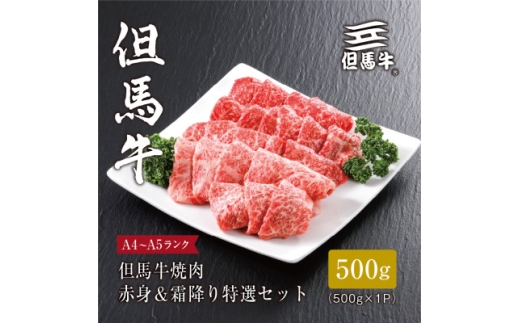＜但馬牛＞焼肉 赤身&霜降り 特選セット500g【1313161】 757024 - 兵庫県養父市