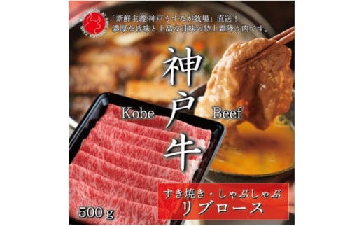 神戸牛リブローススライス 500g＜うすなが牧場＞FU001【1638845】 2313653 - 兵庫県養父市