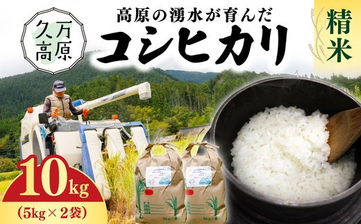 【R7年産】愛媛県 久万高原町 コシヒカリ10kg 精米 ｜ お米 コメ こめ 令和7年産 10kg ご飯 ごはん 朝食 昼食 家庭用 ※北海道・沖縄・離島への配送不可 2297123 - 愛媛県久万高原町