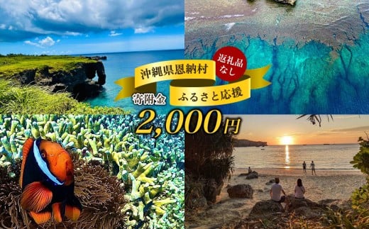 【返礼品なし】沖縄県恩納村ふるさと応援寄附金 2000円  2314780 - 沖縄県恩納村